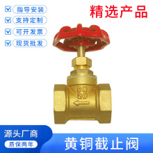 黄铜截止阀DN15水管4分6分1寸耐高温20空调25蒸气铜水表开关加厚