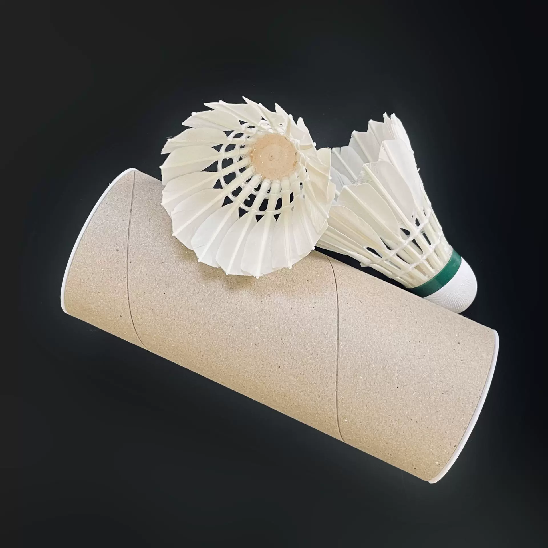 工厂直销 鹅反洗毛片羽毛球日常训练娱乐稳定型业余比赛球12只装