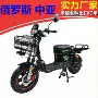依兰俄罗斯电动公主电瓶