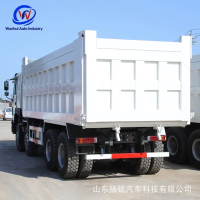 Yük maşınları Truck, 430 Horsepower, 8X4, Front