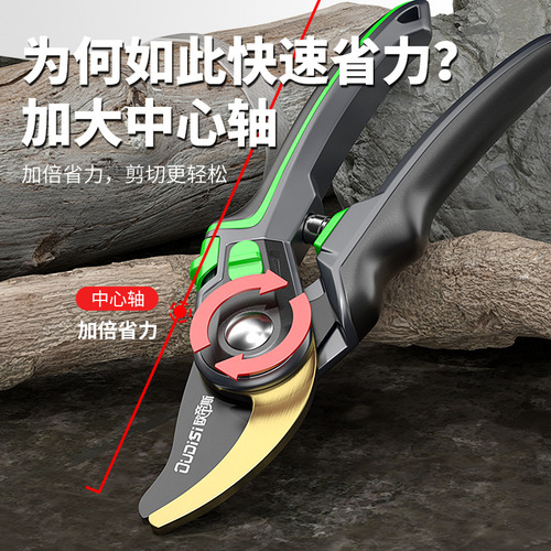 Gardening shears, pruning shears, flower shears, garden shears, floral shears, branches, fruit tree scissors, branch shears, flower scissors.