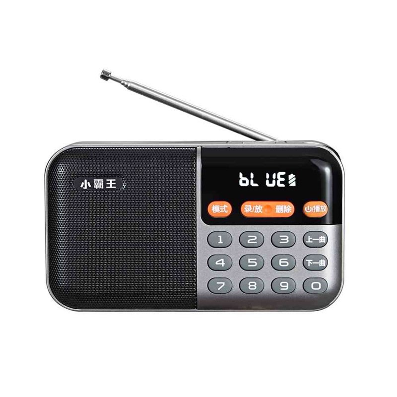 그레이 스탠다드 + 충전기 + 4G 노래책 카드