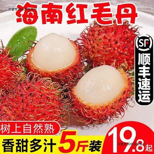 【顺丰包邮】新鲜红毛丹山荔枝水果当季热带毛荔枝甜红牡丹批发-阿里巴巴