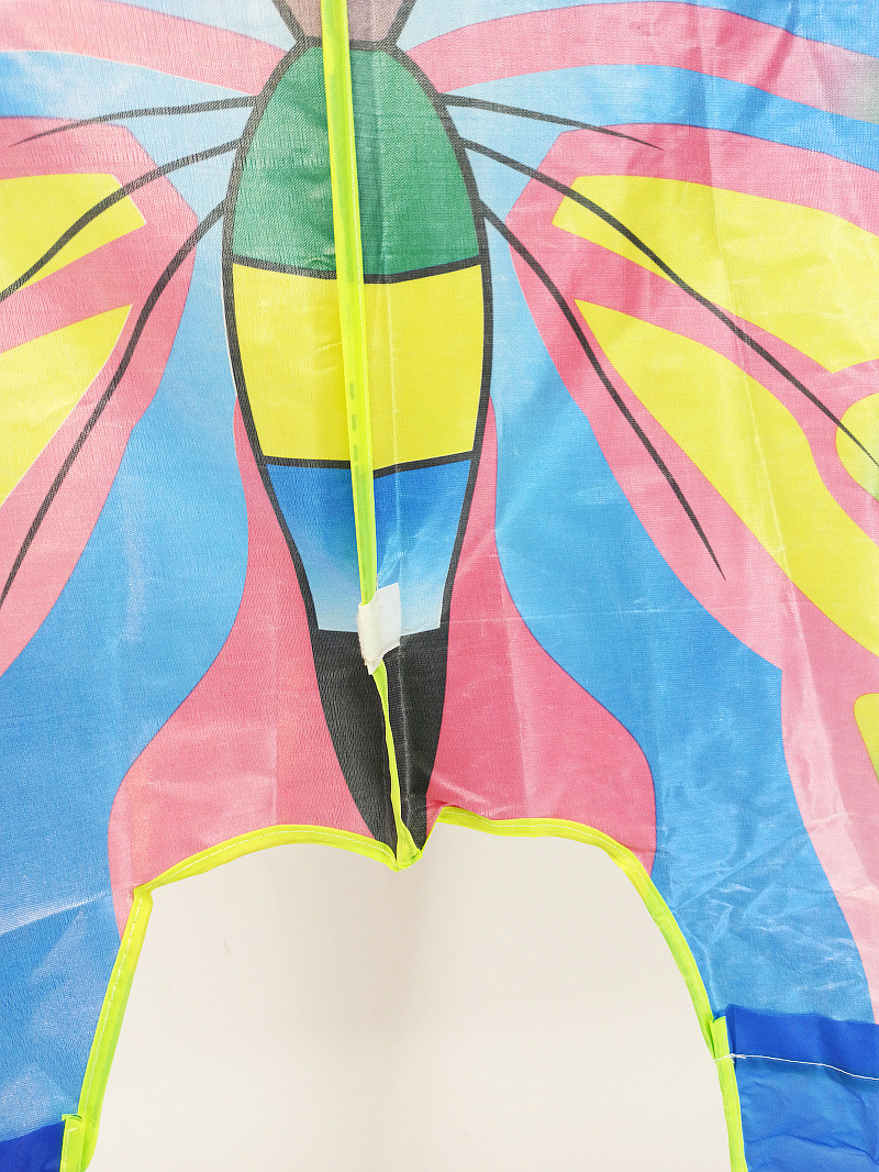 XCH长尾彩蝶- (5).jpg