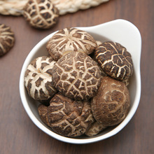 ���ѵ������خaȥ���󻨹����ľ�㹽���Ƚ��X����������؛��؛