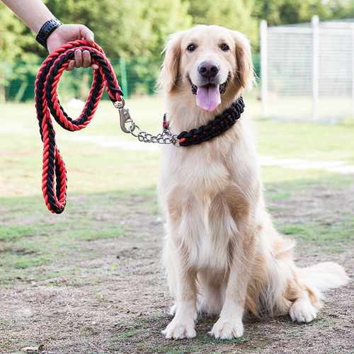 Dog leash, dog chain, dog leash collar, medium and large dog golden retriever Labrador p chain pet supplies