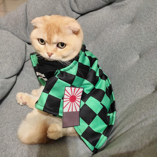 ���������·��z�^�����T̿���ɹ����ͷ��[����؈�������ɼ