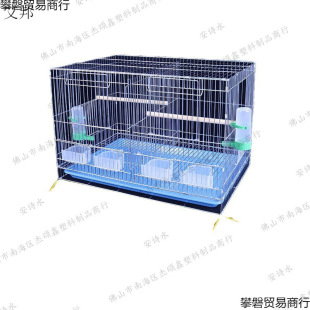�B�\�p�g�����̖�B�\�ӷָ��Ӵ��B���Bֳ�����Ƥĵ�����L�䌦�\