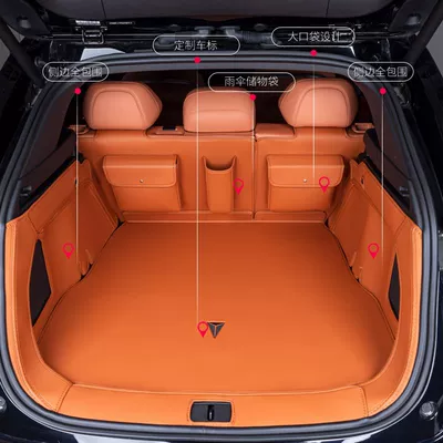 Trunk Mat: Changan Deep Blue S7 Trunk