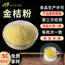 行业精选金桔粉食品级金桔果粉固体饮料原料水溶金桔提取物现货