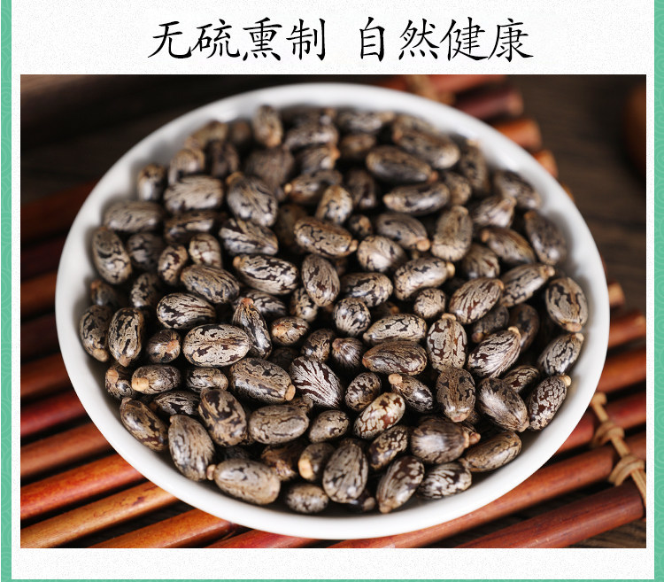 Wild Castor Seeds 500g Ricinus Communis Dried Bi Ma Zi Raw Herb for External Herbal Use quality and texture