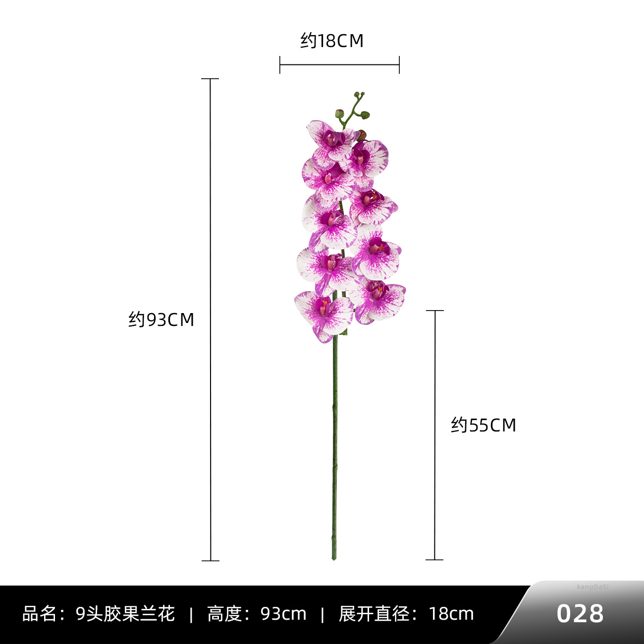 028 #9 헤드 껌 과일 난초