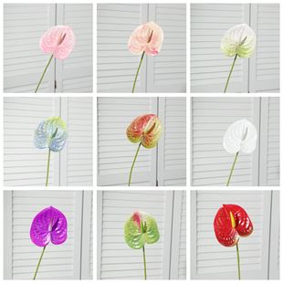 ���滨���Q���t�Ƈ�ɫ�����zƬ3D���廨��c�쾰�����[���Ĕz����