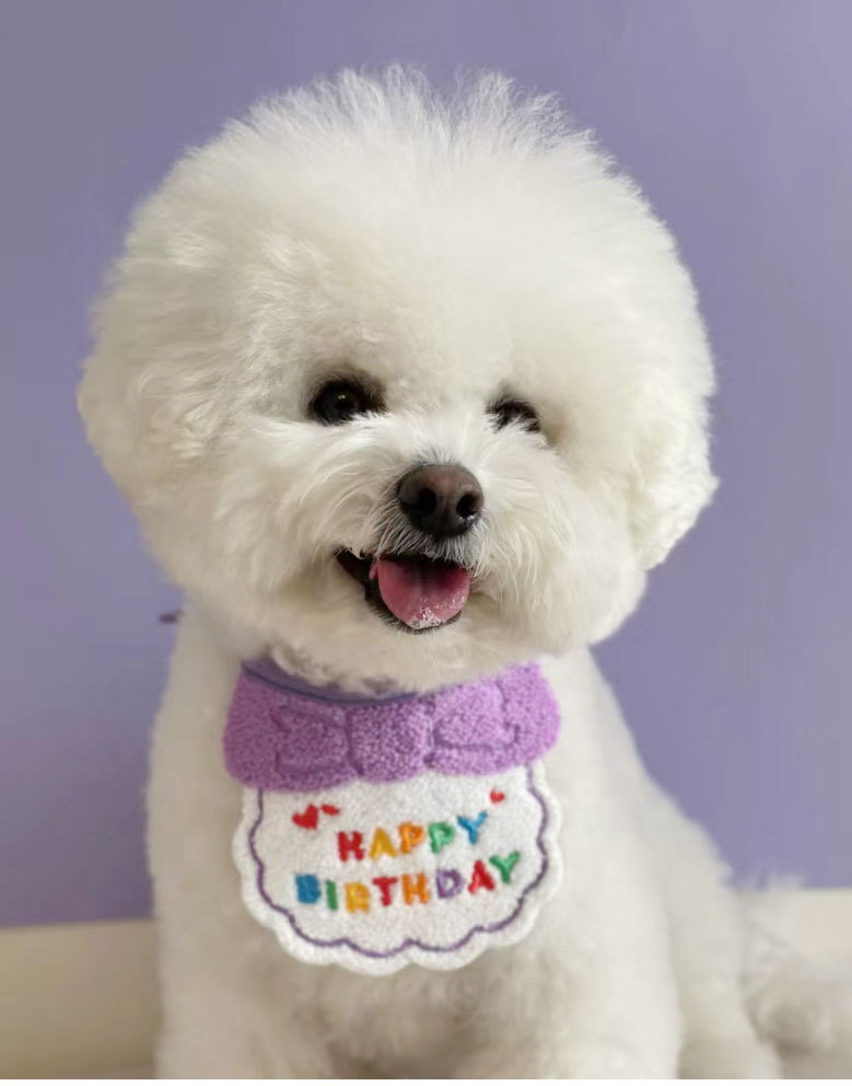 20g Weight pet saliva towel, Pet Accessories Type Of Pet Supplies Ins Cute Happy Birthday Hat Bib Dog Cat Pet Bib Saliva Towel
