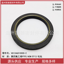 SֱN Sķͷ  12LlәC  ̖VG1246010005/2