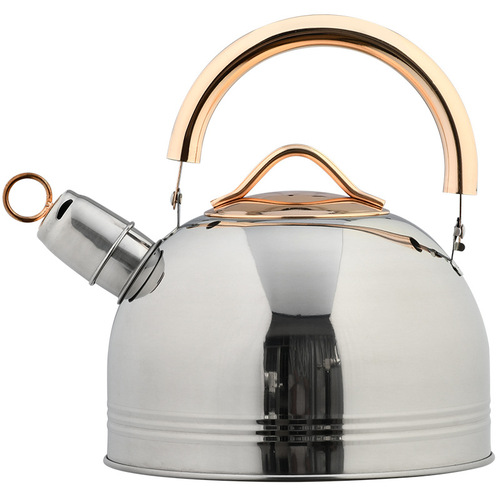 Stainless steel whistle kettle with lid, new Amazon alarm boiling kettle, golden handle, cross-border sounding kettle