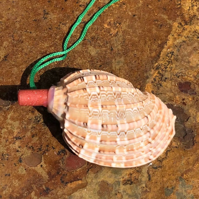Cafei snail whistle 8-10 cm