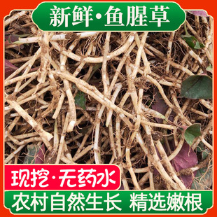 �r�ҬF�ڎ����~�Ȳ����r�۸��۶�����ϴ���x�����Ĵ��F�ݛ���a