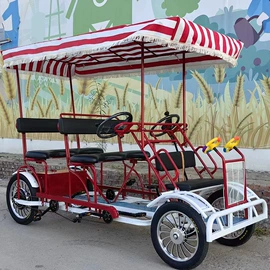 双人自行车;其他非机动车;亲子车