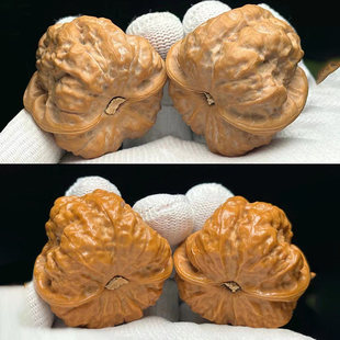 ��������Ϙ��ӑc������^�P����搞��{���^Ԫ���_����������