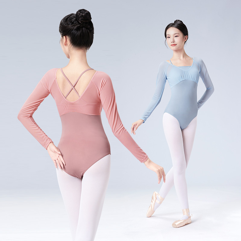 Ballet Practice Outfit for Adults, Spring Long-Sleeve Mesh Patchwork Leotard, Chinese Dance and Gymnastics Training Uniform for Teachers