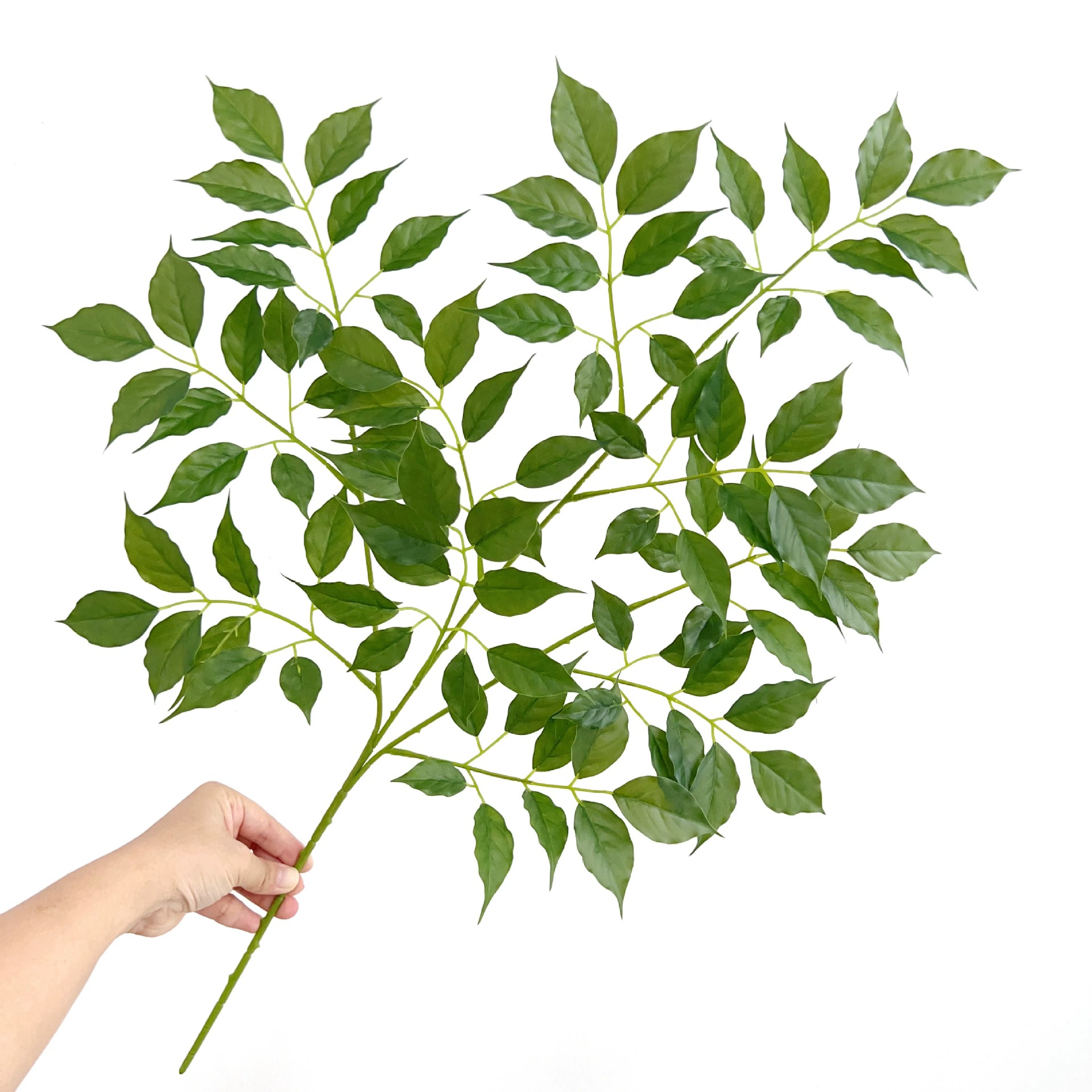 Моделирование счастливых листьев зеленых листьев