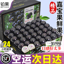 ��S�� �Ό���������5�����rˮ���������Ӵ�������ЋD���Y��