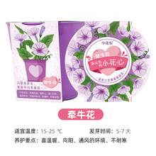 儿童种植小盆栽植物种子发芽生长观察幼儿园小朋友农场种花系列