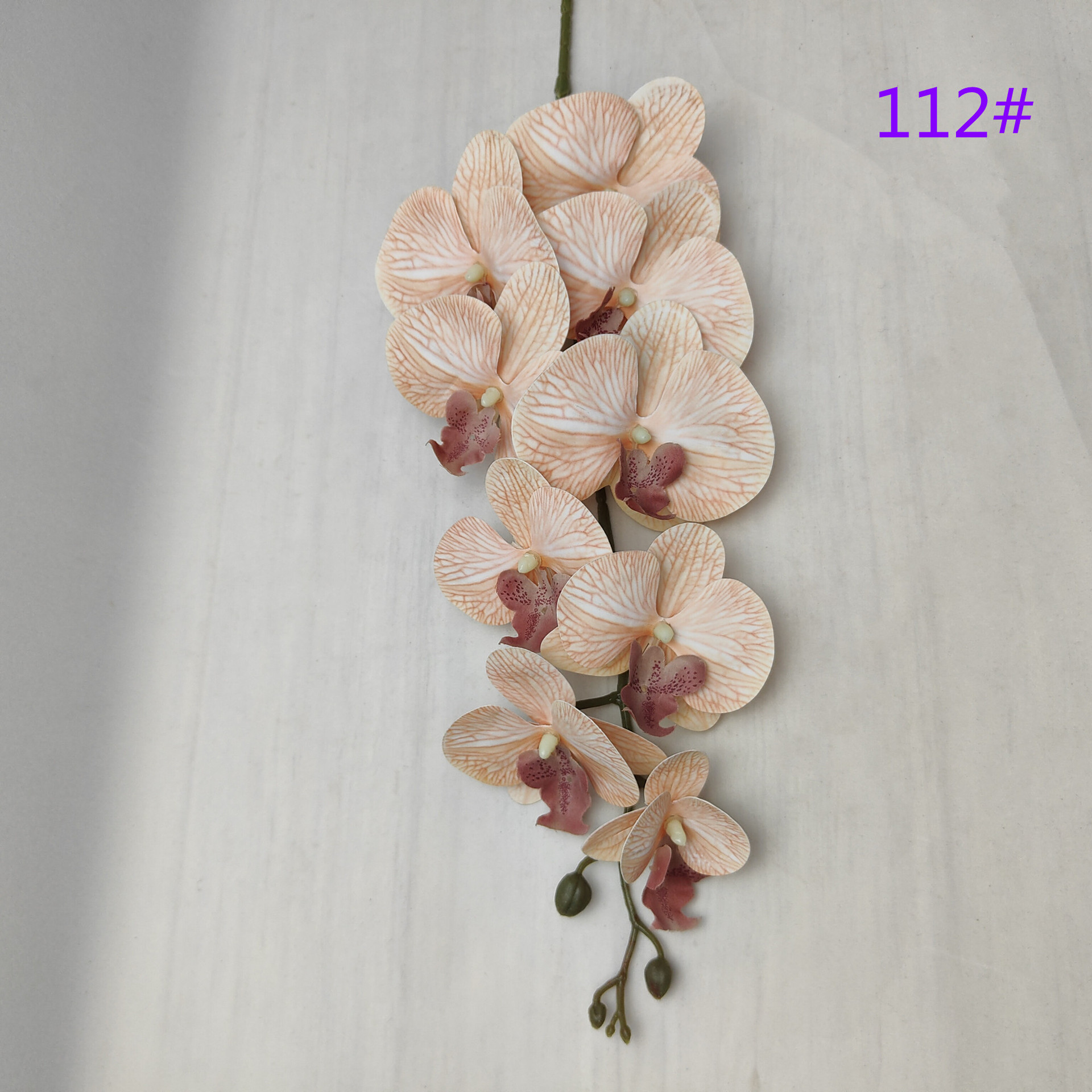 IMG20230509162115_副本