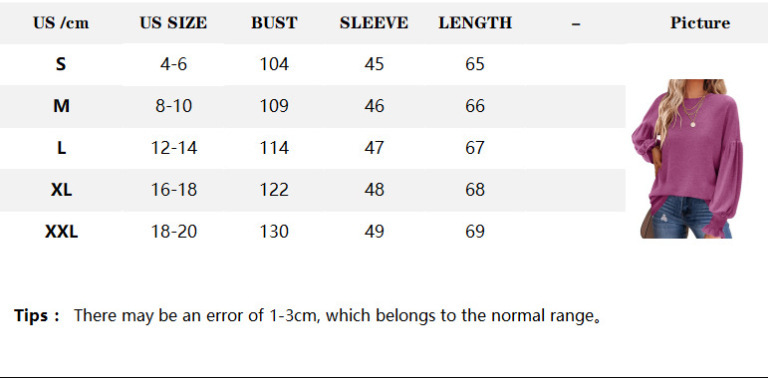 Title 1, Womens Top Round Neck Pleated Lantern Sleeve –...