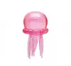 Maltose powder jellyfish color box