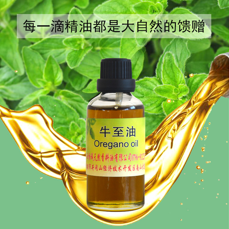 供生产厂家应天然植物提取牛至油  植物挥发油