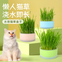 宠物猫草种植盒懒人猫草塑料盒成猫幼猫排毛助消化猫零食厂家批发