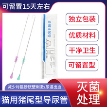 猫猪尾型导尿管减少刺激可留置带显影导丝猫咪清洗膀胱导管升级款
