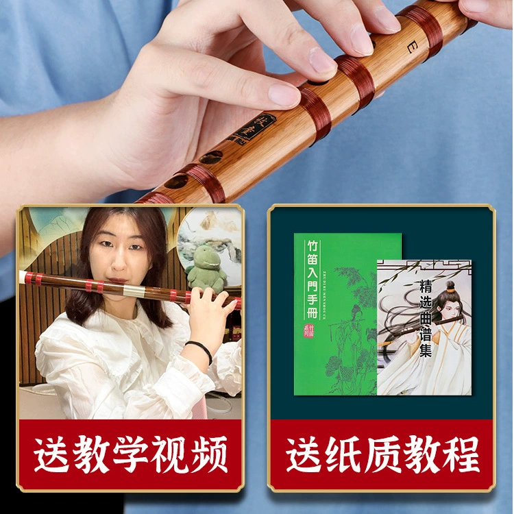 Professional base musical instruments for beginners for adults for students