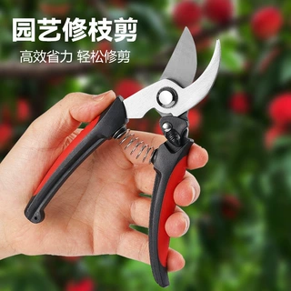 园艺修枝剪不锈钢剪盆景果树修枝剪多功能葡萄花椒剪园林工具批发