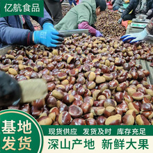 �Ї�̩ɽ���� Դ�^���S �a��ֱ�� �����S��  40-60/30-40/40-50KG