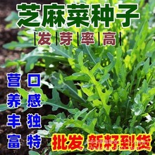 ~֥˷NӴ~˷N˷Nԭbļ߲˷NӴȫ˷N