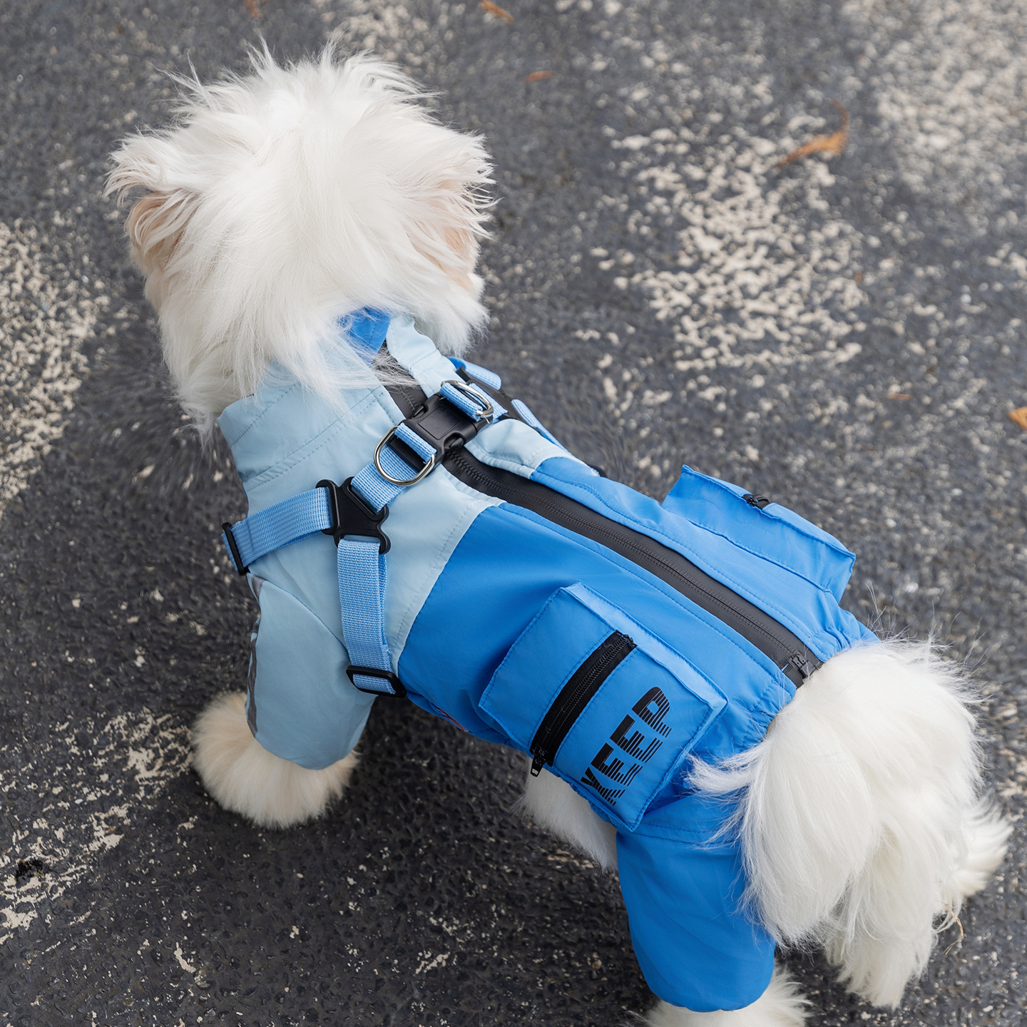 Ropa de mascotas de otoño y invierno caliente tres anti-carga de algodón de cuatro patas perros pequeños y medianos Teddy Bear mascotas ropa de perro