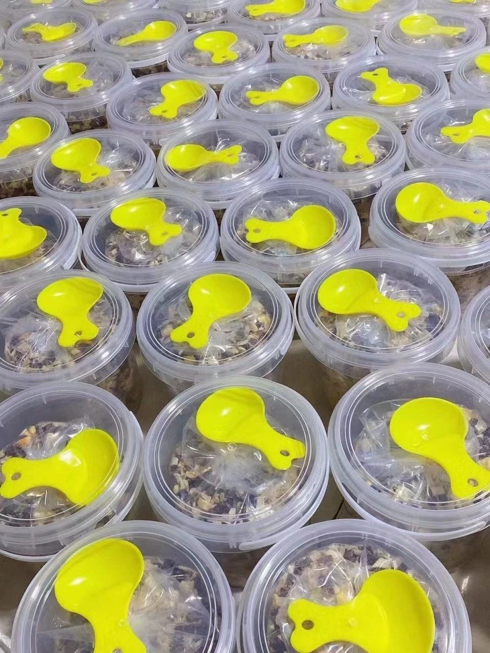 Сублимированный рис с восемью сокровищами курица говядина утка лосось треска перепелиное яйцо желток яичный желток кошачьи закуски сублимированные