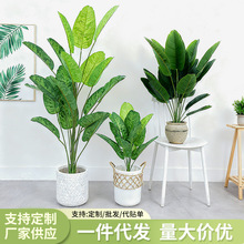 �������˽������B�Gֲ�f�������Դ�̖24�^�҃���ؿ͏d�辰�Ž�