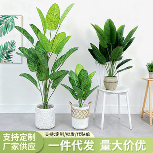 �������˽������B�Gֲ�f�������Դ�̖24�^�҃���ؿ͏d�辰�Ž�