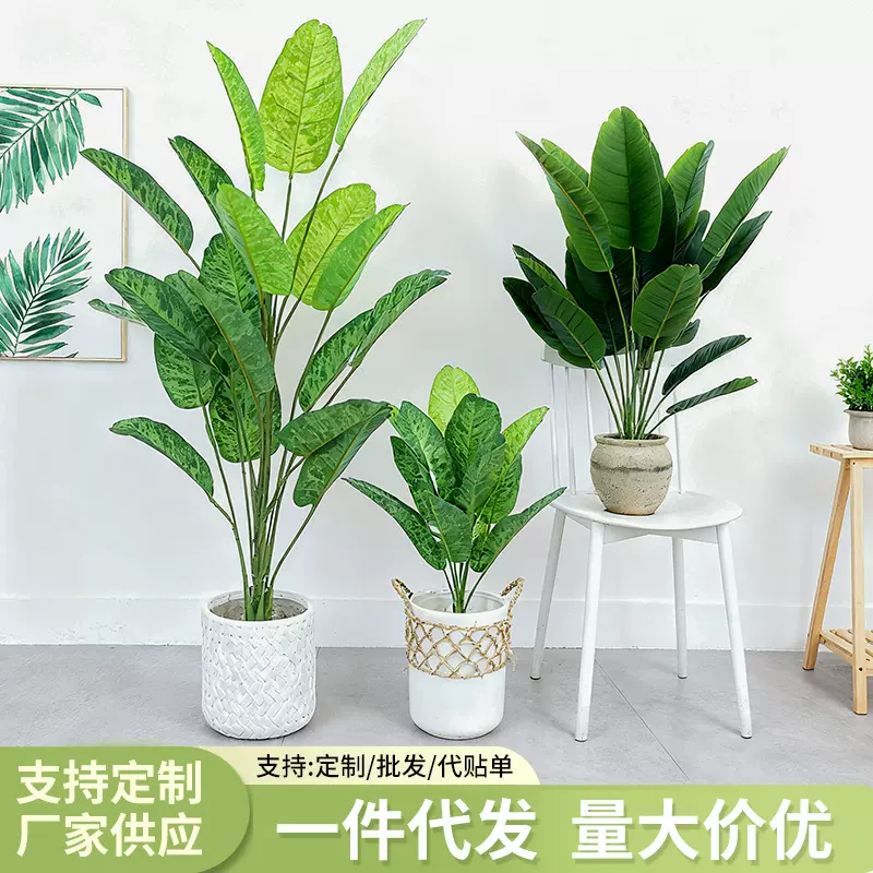 仿真旅人蕉天堂鸟绿植万年青盆栽大号24头室内落地客厅盆景芭蕉