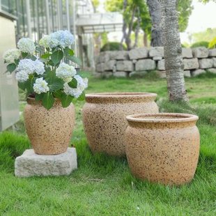 ͸������÷�������մɴ�̖30�Ҹ�����Ѫ���Ͳ���՘��������L