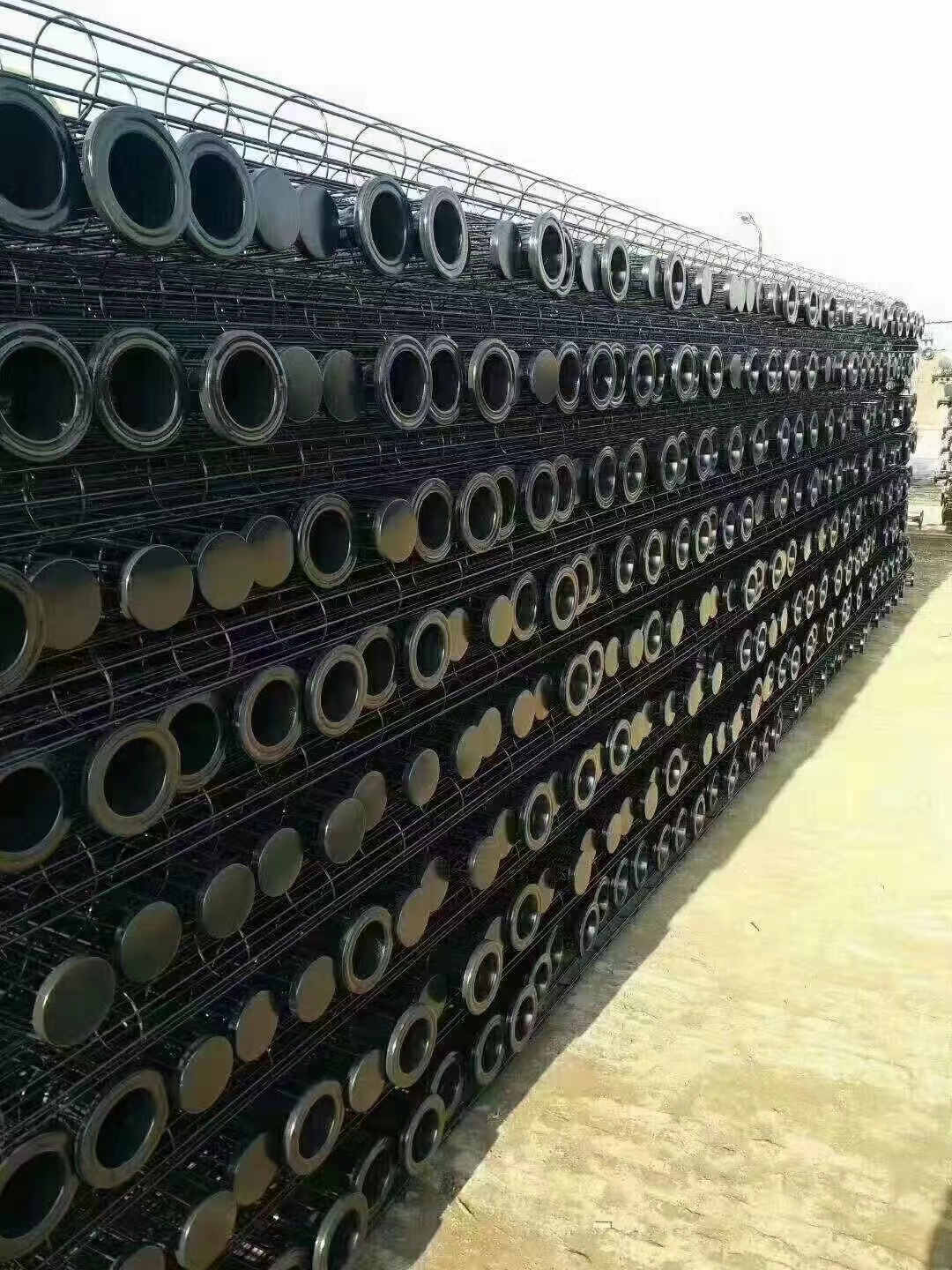 骨架8