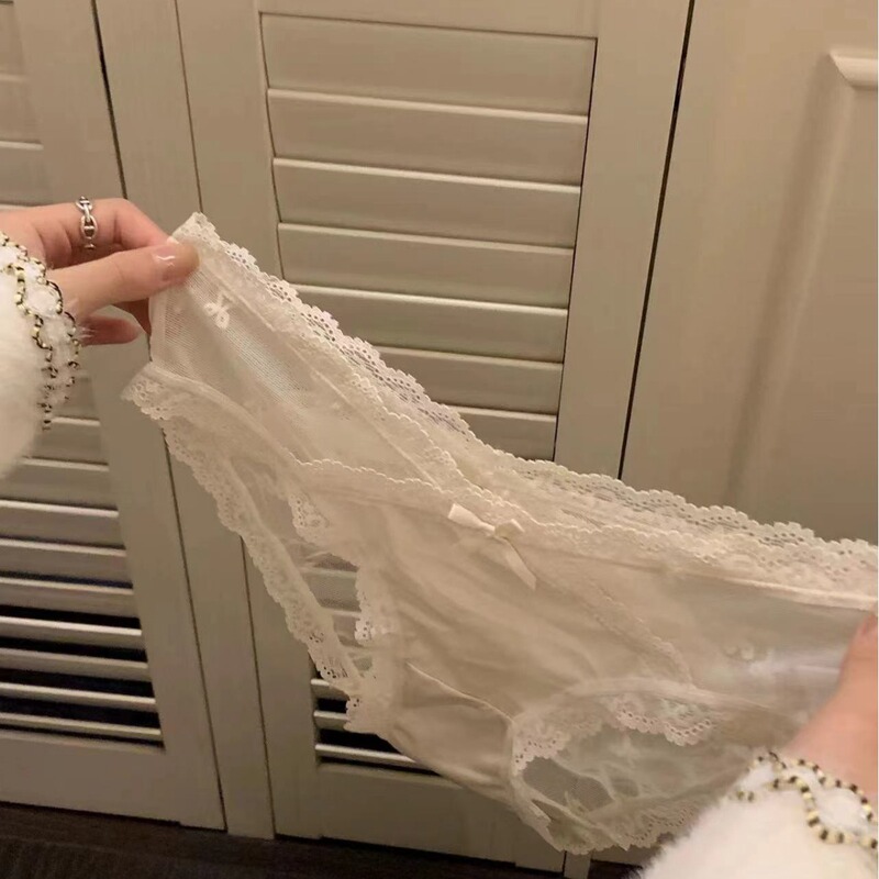 Weihe ~ French lace underwear low waist girl style pure want transparent hollow mesh soft briefs for women