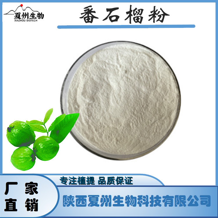 番石榴粉 番石榴果汁粉 番石榴提取物 夏州生物 量大从优 kg级