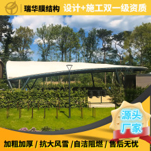 ���@Ĥ�Y���� ��^���^ ������̨Ĥ�Y���������  �������