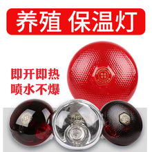 ���µ���ֳȡů��С������ ����ȡů��������ֳ 111