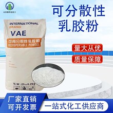 ���ٷ�ɢ�����z�� VAE ���⠝ā�ӷ�ɰ�{�z��